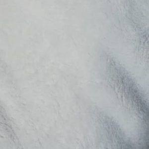 Meet your Posher, Fernanda